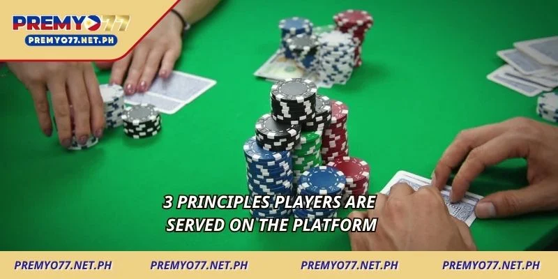 1-3-principles-players-are-served-on-the-platform