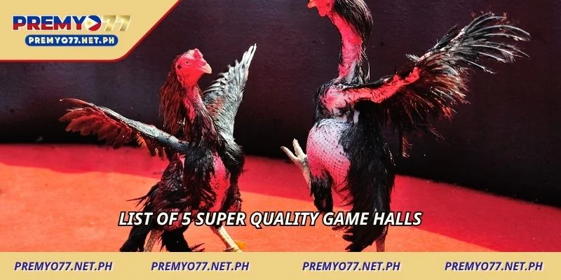 1-list-of-5-super-quality-game-halls