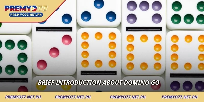 Brief introduction about Domino Go